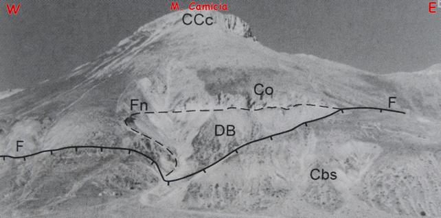 Figura 3 Nella foto è evidenziata la faglia normale a basso angolo del Monte Camicia (Fn) e delle faglie normali ad alto angolo (F) appartenenti al sistema bordiero di Campo Imperatore. (DB) Dolomie Bituminose, (Co) Corniola; (Cbs) Calcari bioclastici superiori e (CCc) Scaglia/Calcari clastici cretacici. (dalla Guida Geologica Regionale dell’Abruzzo).